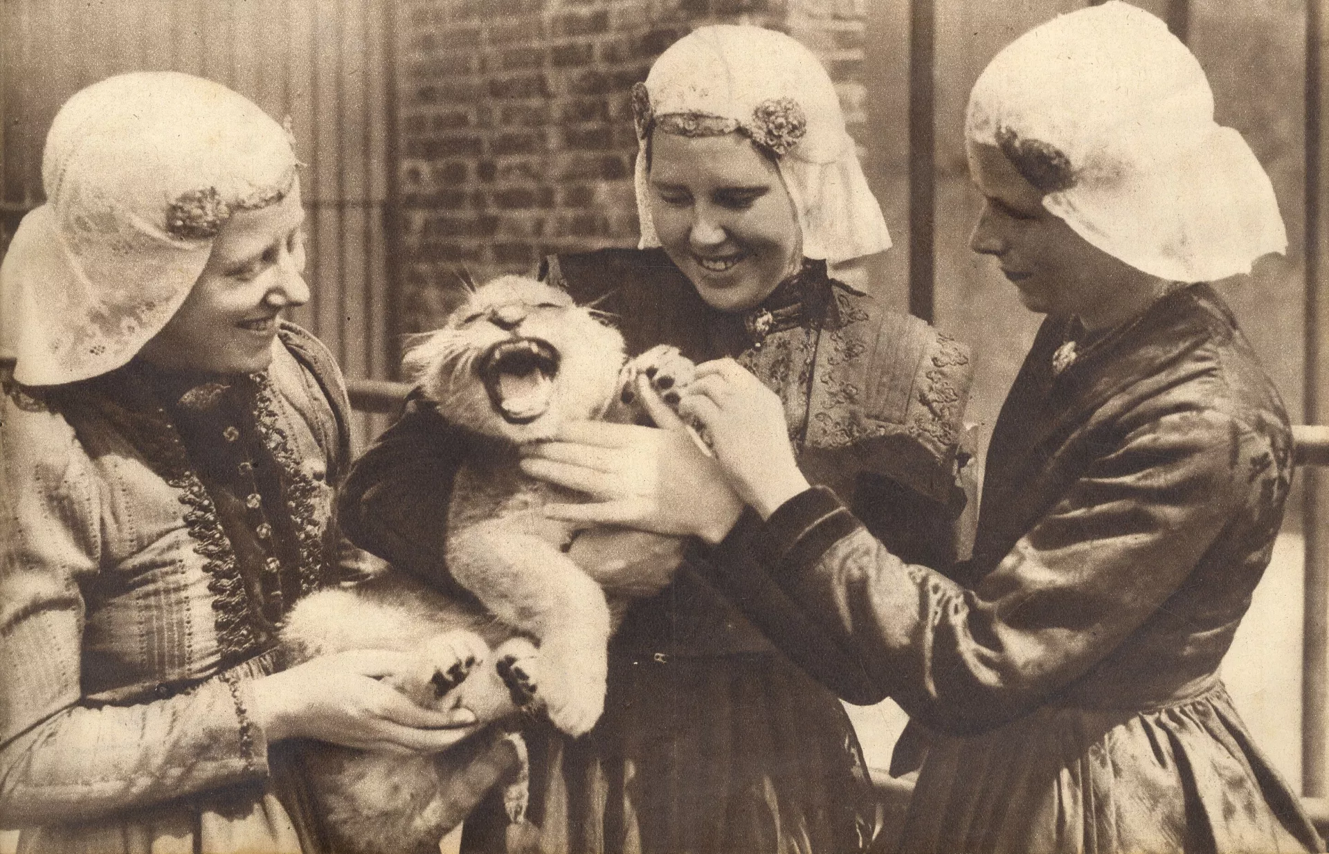 De dierentuin in Emmen bestond in 2025 negentig jaar. Foto uit 1937: collectie Het Noorden in Woord en Beeld, Drents Archief